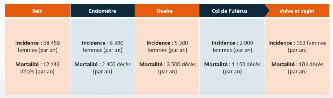 Epidémiologie des cancers chez les femmes 2 - © Care Insight, source e-cancer
